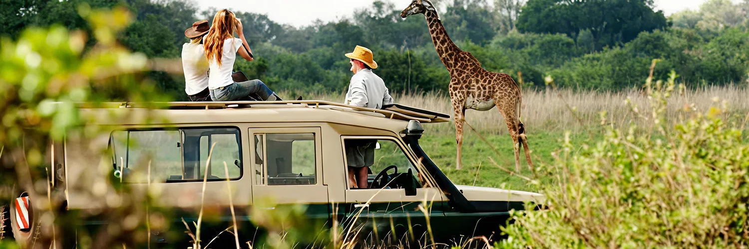 package hotel listing